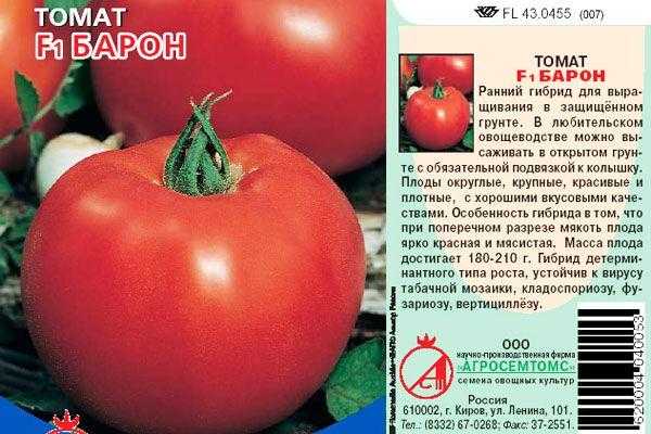 Томат малиновое виконте: характеристика и описание сорта, отзывы об урожайности помидоров, фото куста