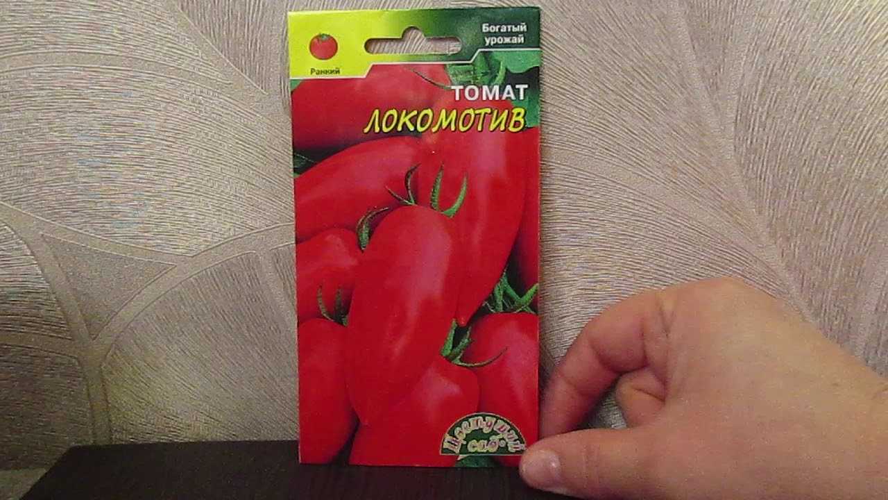 Томат лентяйка: характеристика и описание сорта, отзывы, фото, урожайность