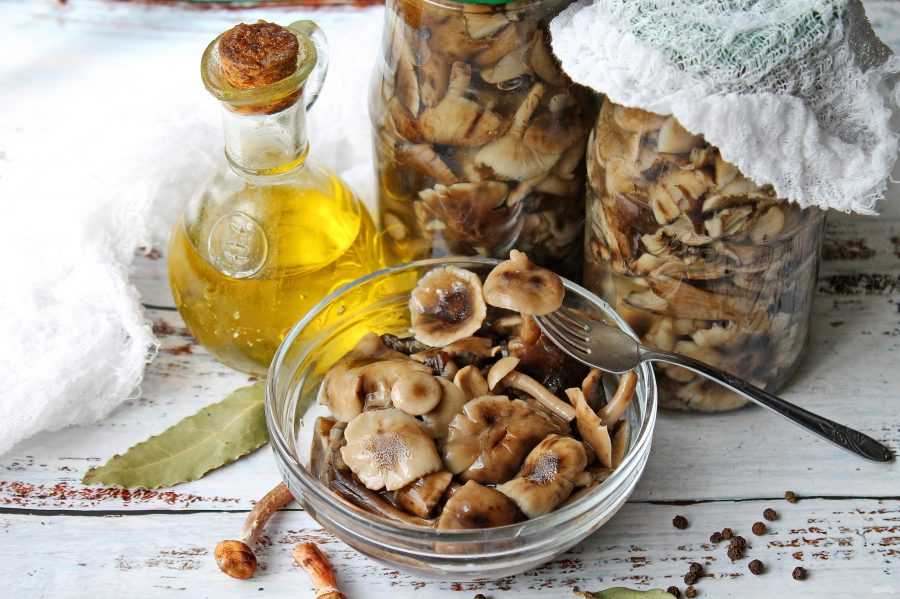 Рецепт икры грибной, несколько вкусных и простых рецептов