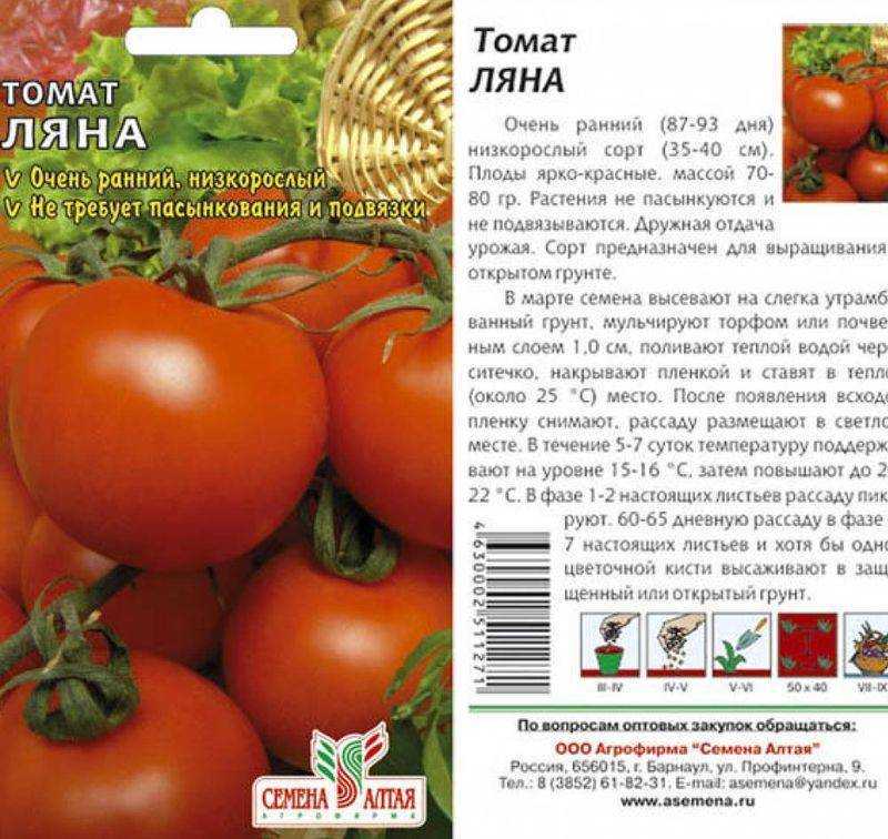 Томат Ляна Розовая - новинка, быстро получившая популярность у огородников В нашей статье вы найдёте описание, характеристики и фото этого сорта помидор