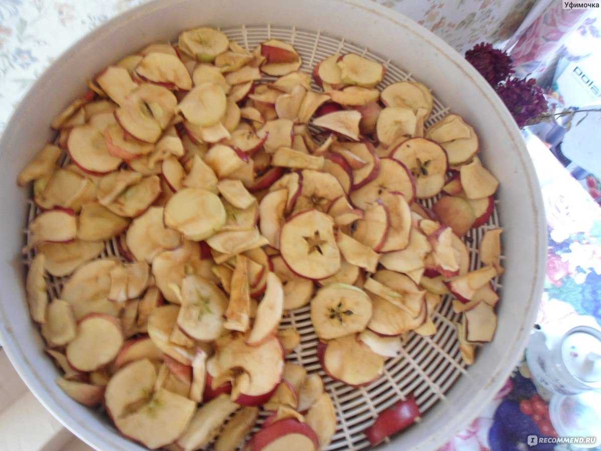 Сушим яблоки в духовке на противне. Сушка яблок в электросушилке. Яблоко сушёное. Как правильно сушить яблоки в электросушилке. Сушеные яблоки пошагово.