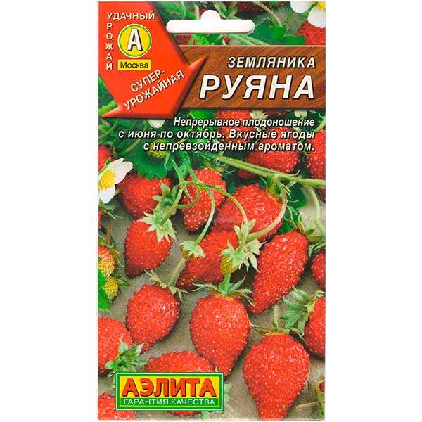 Лучшие сорта садовой земляники с названиями и описанием