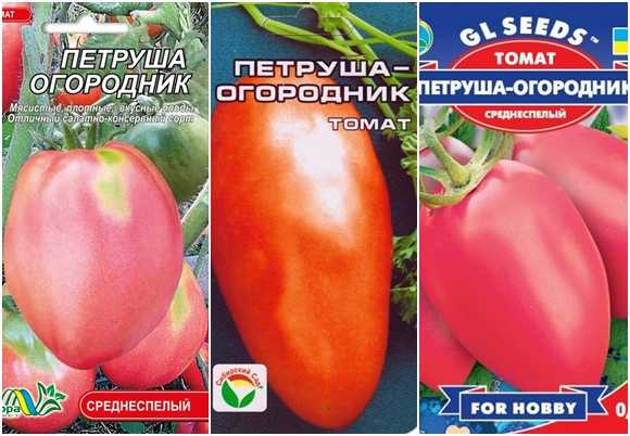 Томат петруша огородник отзывы фото урожайность