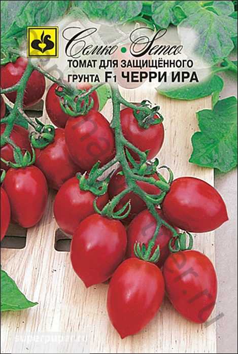 Лучшие сорта томатов черри - топ 15🍅, характеристика и описание, фото, урожайность, достоинства