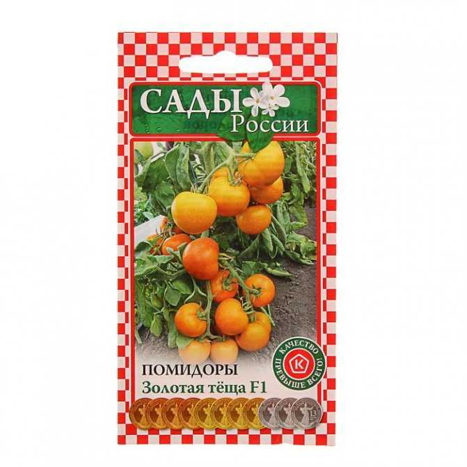 Лучшие сорта или виды помидоров на любой вкус и цвет