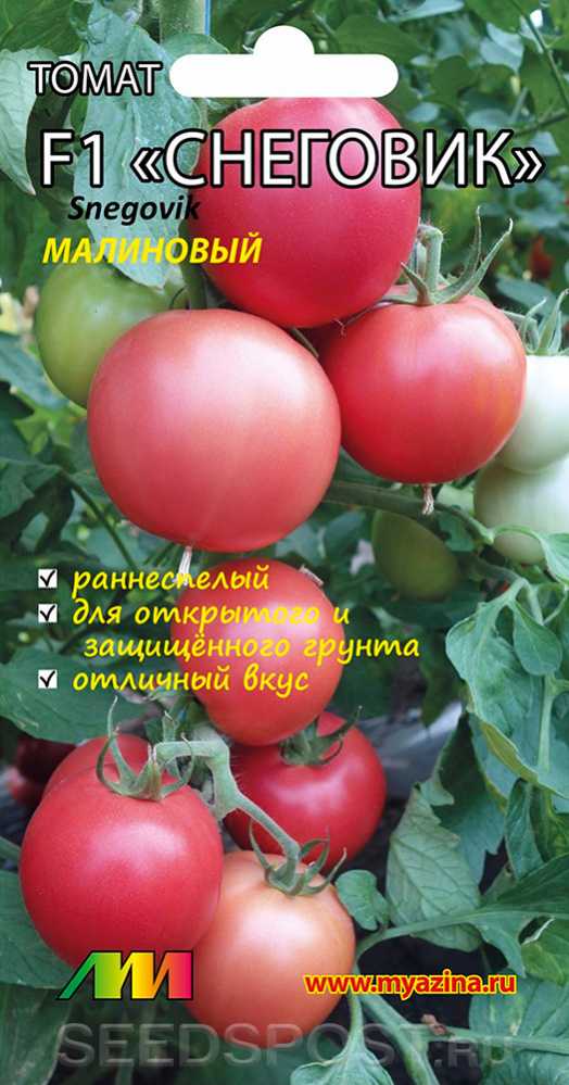 Урожайные сорта томатов для теплицы: самые лучшие, ранние для подмосковья, сибири, урала