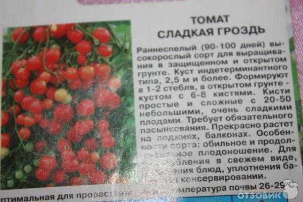 Серия томат «сладкая гроздь»: отзывы, фото, урожайность