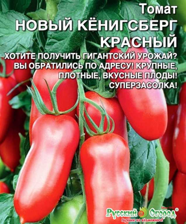 Самые лучшие сорта клубники с фотографиями и описанием