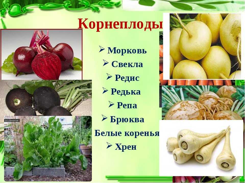 12 самых экзотических овощей и фруктов