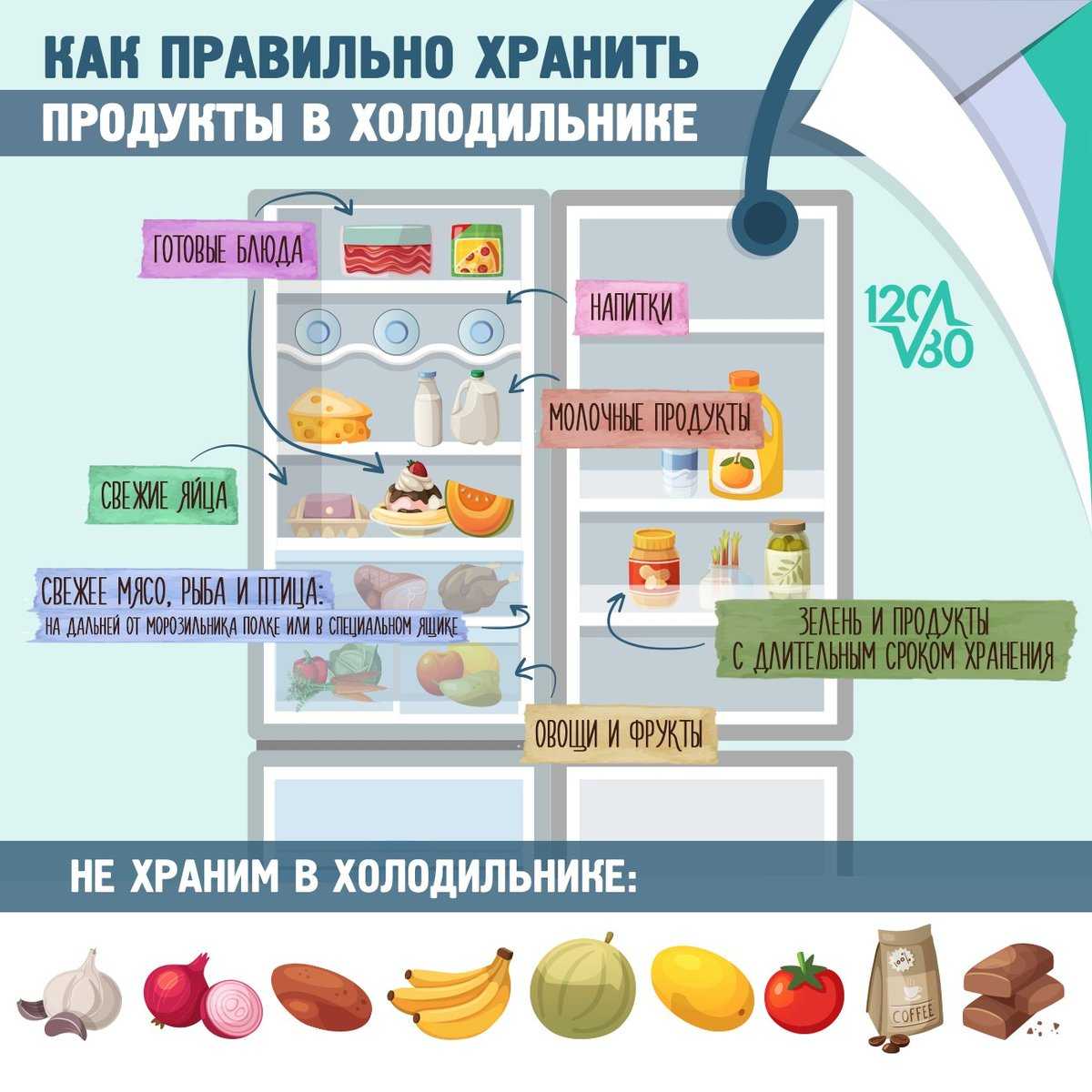 Раскладка продуктов в холодильнике по полкам дома