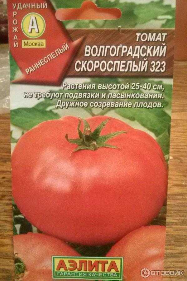 Волгоградский томат описание и фото