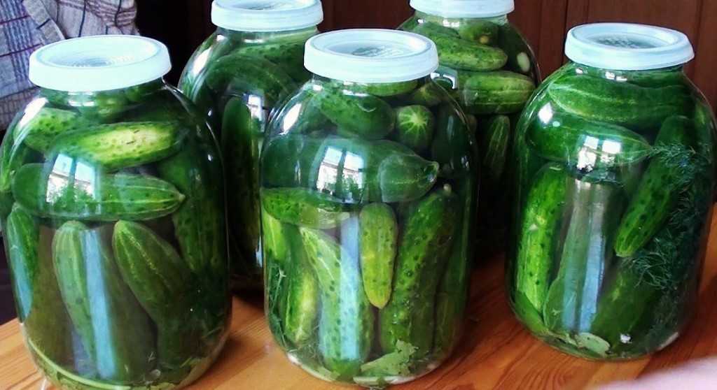 Консервированные хрустящие огурцы — 7 самых вкусных рецептов
