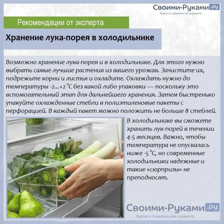 Как хранить зеленый лук в холодильнике, чтобы он долго оставался свежим: температура, тара, способы заготовки
