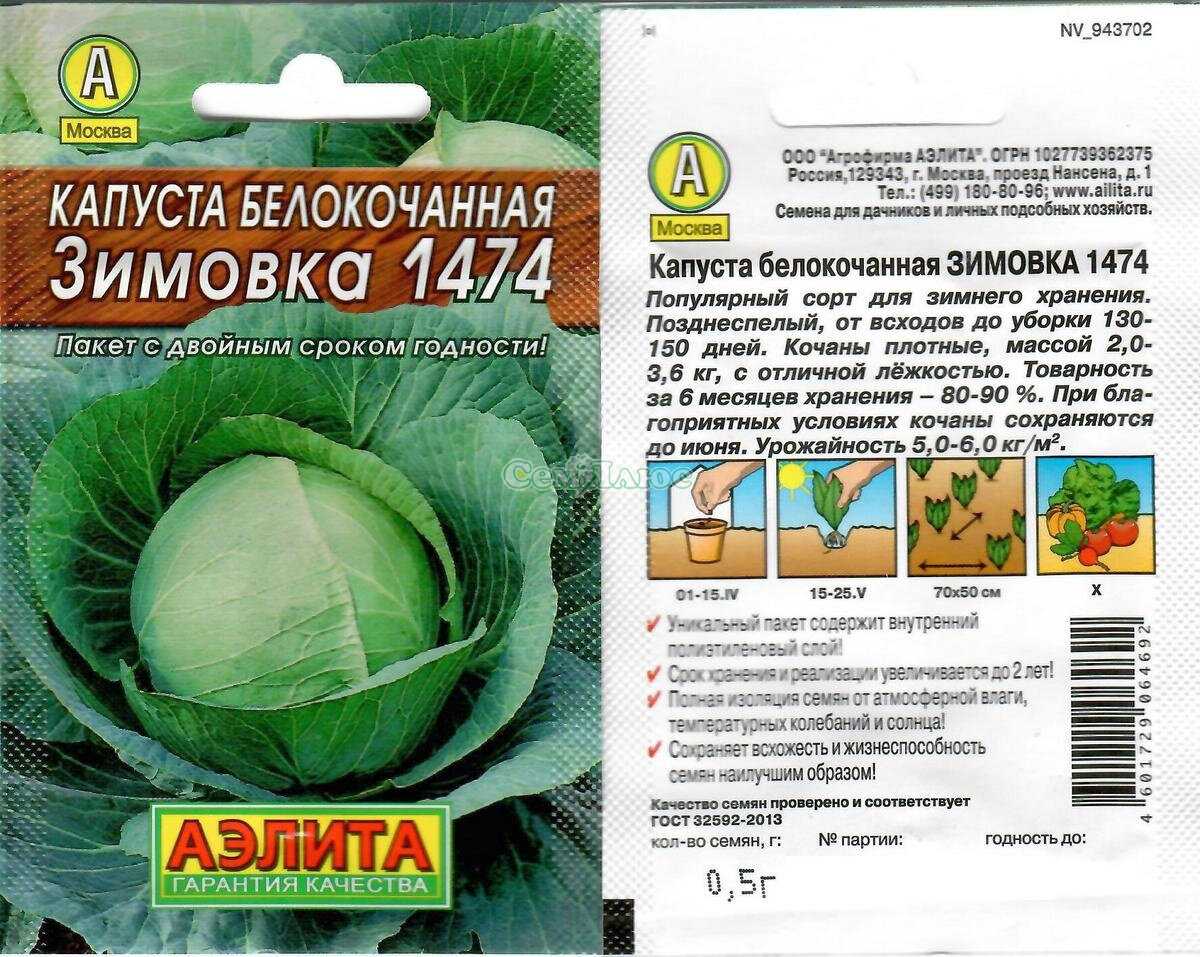 Поздние сорта капусты белокочанной для россии