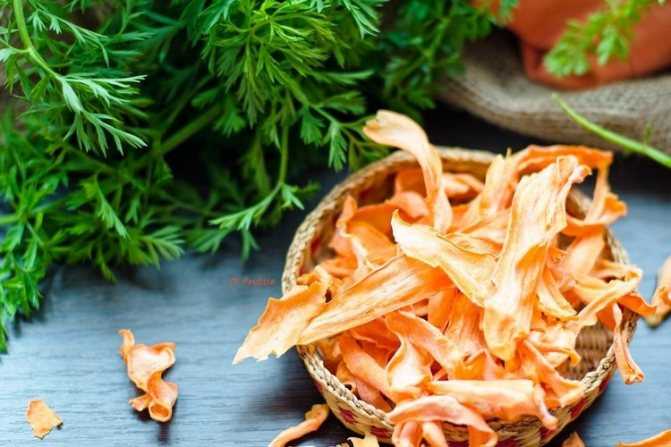 Сушеная морковь: можно ли сушить на зиму, польза сухой морковки, способы приготовления и применения