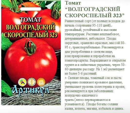 Томат титан – характеристика и описание сорта, фото, урожайность, выращивание, отзывы