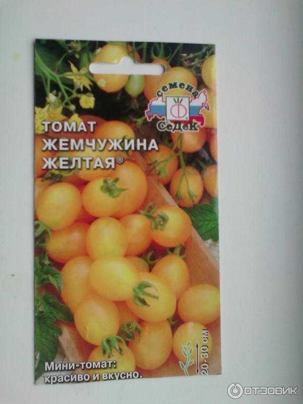 23 сорта черных томатов с фото, описанием, названиями и характеристиками для теплиц и открытого грунта подмосковья, сибири, урала, средней полосы и юга россии