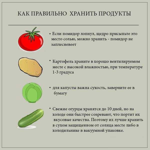 Секреты, которые помогут правильно хранить морковь в холодильнике так, чтобы она не вяла и не портилась