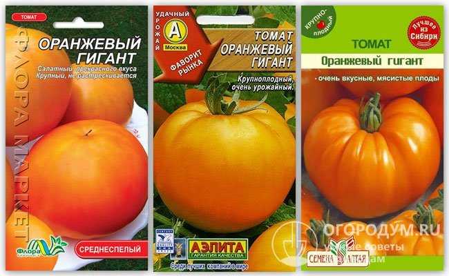 Оранжевый гигант: описание сорта томата, характеристики помидоров, посев
