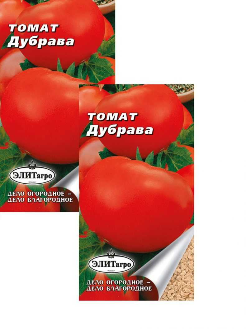 Томат дубрава: характеристики сорта и советы по выращиванию рассады. рекомендации по увеличению урожая (70 фото + видео)