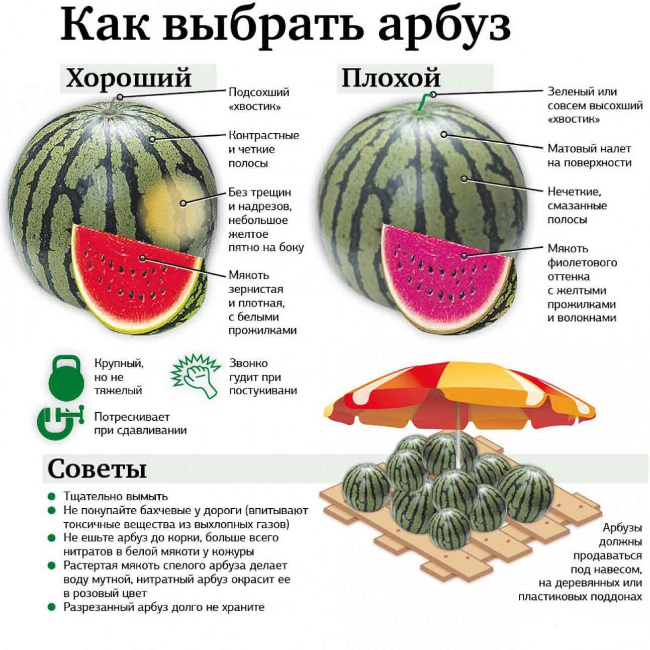 Арбуз