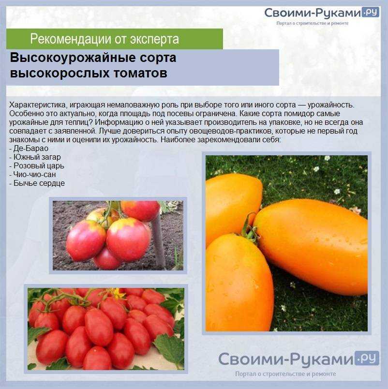 Томат утенок характеристика и описание сорта отзывы