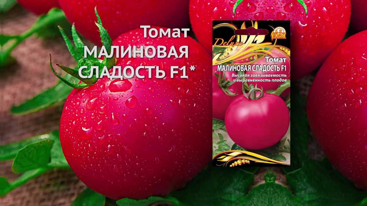 Малиновое Мамино Сердце Томат Отзывы Фото