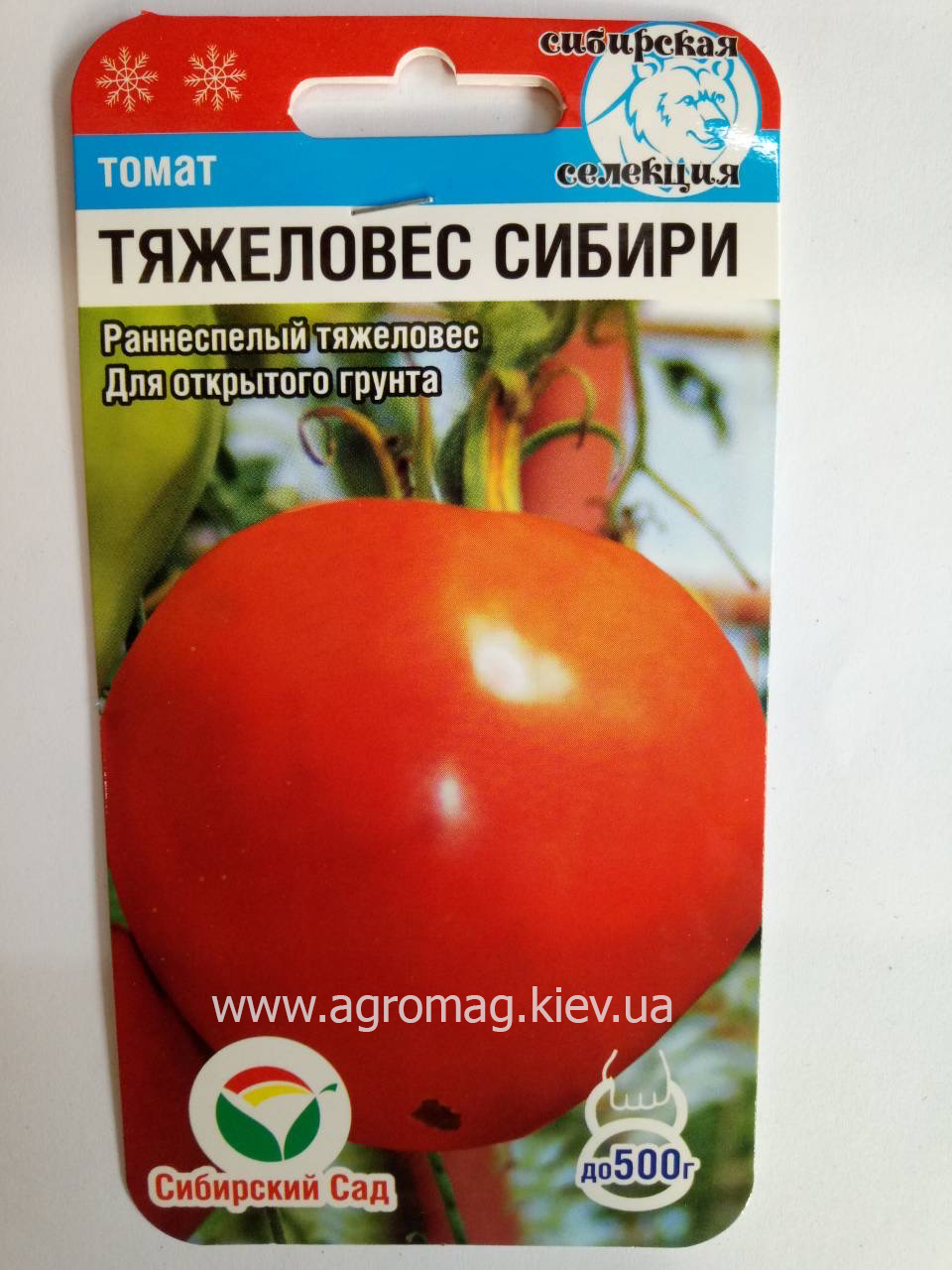 Особенности томата тяжеловес сибири - характеристика и описание сорта, полезные советы, отзывы и правила выращивания