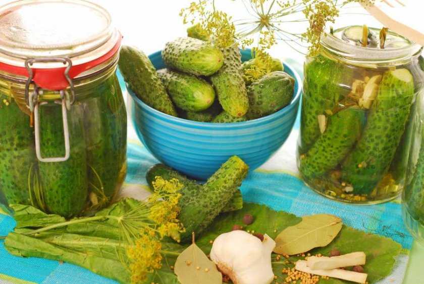 Хрустящие консервированные огурцы на зиму - топ самых вкусных рецептов