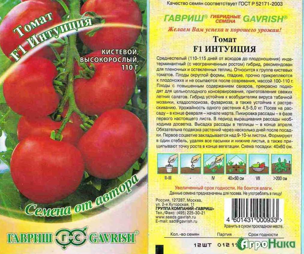 Выращивание томатов от а до я в открытом грунте