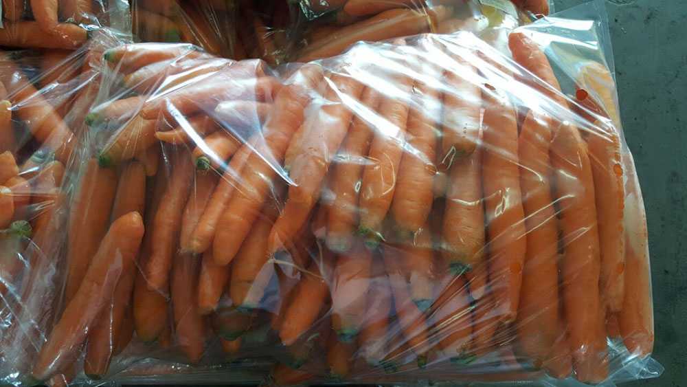 Как хранить морковь в квартире. Хранение моркови. Хранение моркови в полиэтиленовых мешках. Хранение моркови на зиму. Хранение моркови в погребе.