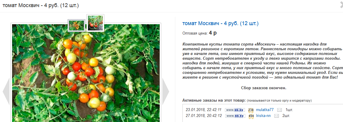 Томат москвич описание и фото