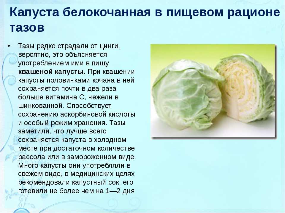 Самые популярные виды капусты с названиями, описанием и фото