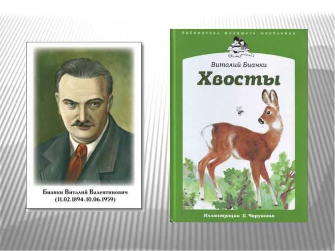 Акалифа (лисий хвост): уход в домашних условиях