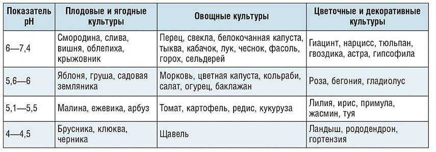 Подготовка почвы в теплице под помидоры весной и осенью