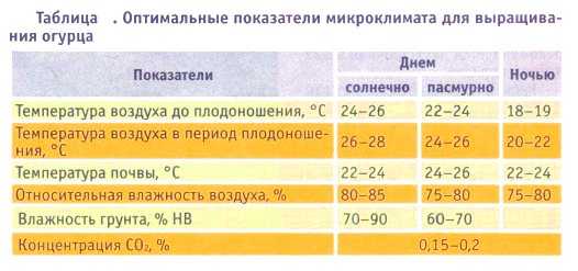 Оптимальная температура для рассады томатов