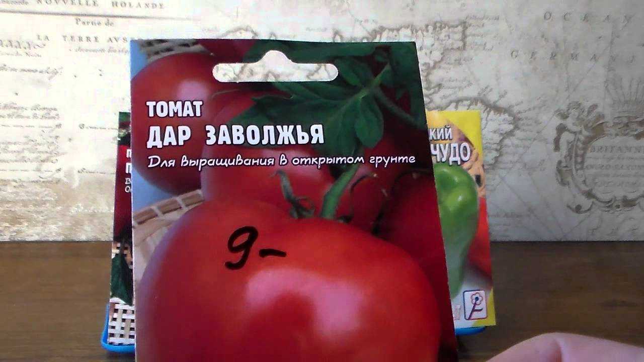 «дар заволжья»: описание и характеристика сорта томата, рекомендации по выращиванию помидоров