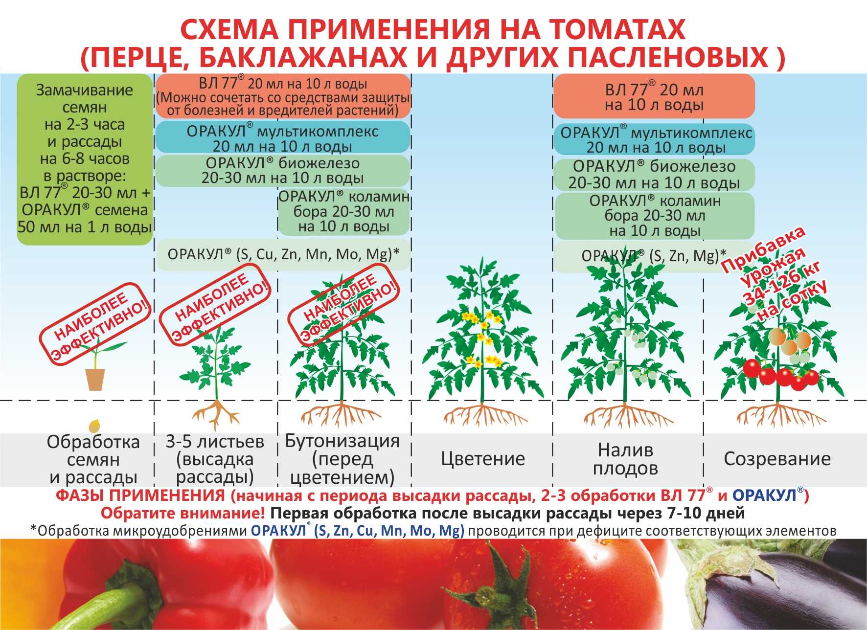 Фото, отзывы, описание, характеристика, урожайность сорта помидора «сосулька розовая».