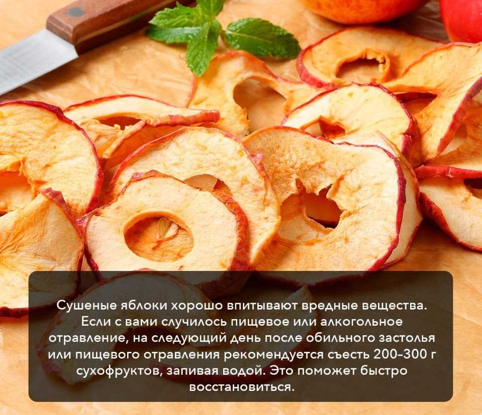 Сушеные яблоки - польза и вред для организма, калорийность