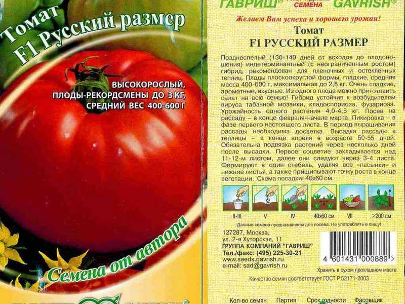 Обзор самых лучших сортов грунтовых томатов: ранние, сладкие, урожайные
