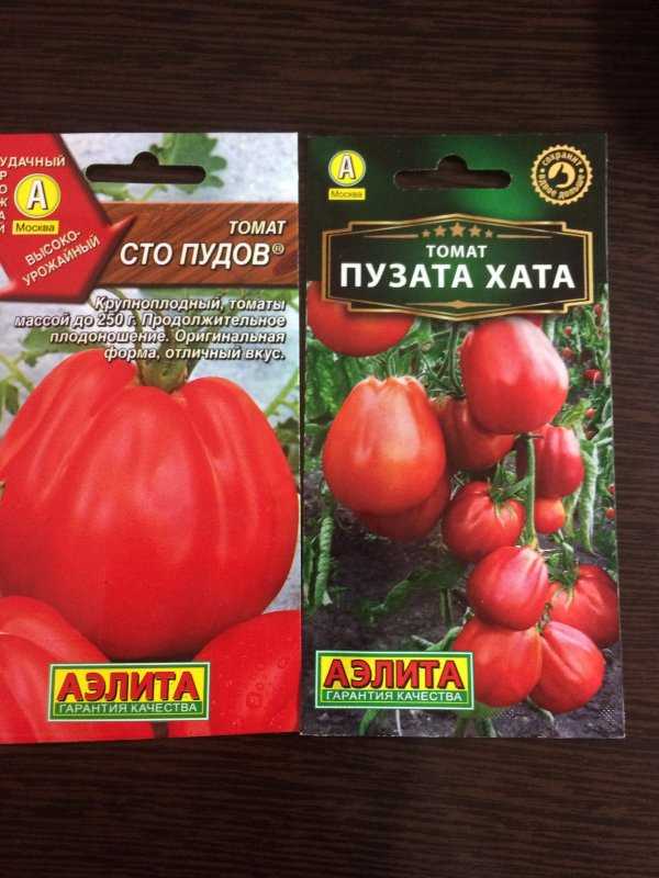 Томат сто пудов: описание сорта, отзывы, фото, урожайность