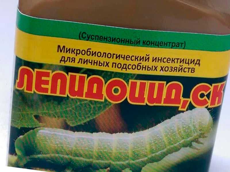 Битоксибациллин: применение для растений от различных вредителей и отзывы дачников