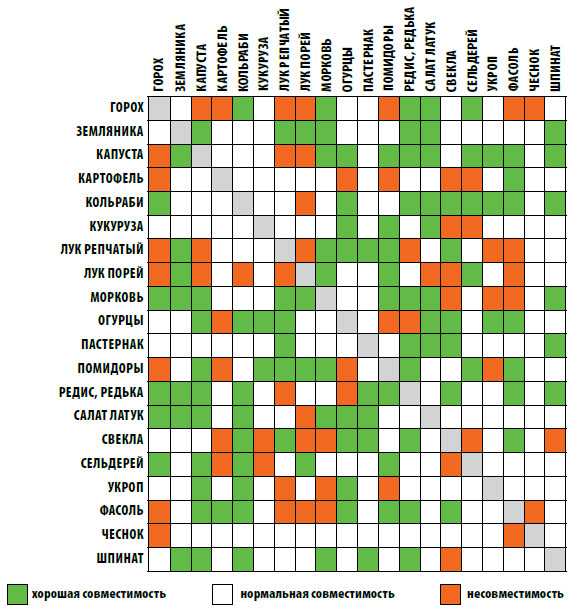 Совместная посадка овощей на одной грядке схема
