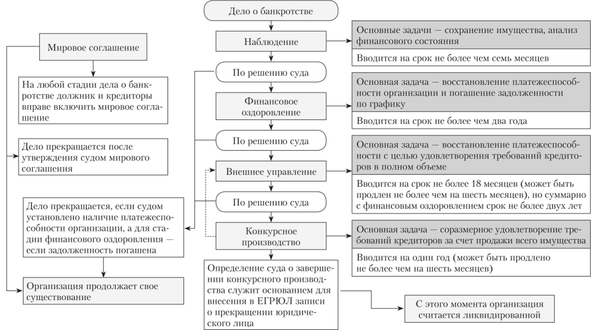 Томат снежный барс