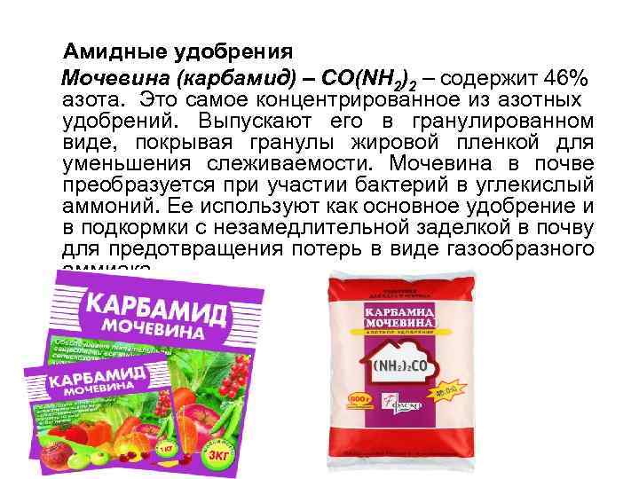 Все об азотных удобрениях: какие бывают, как и когда применяются. особенности внесения азотных удобрений