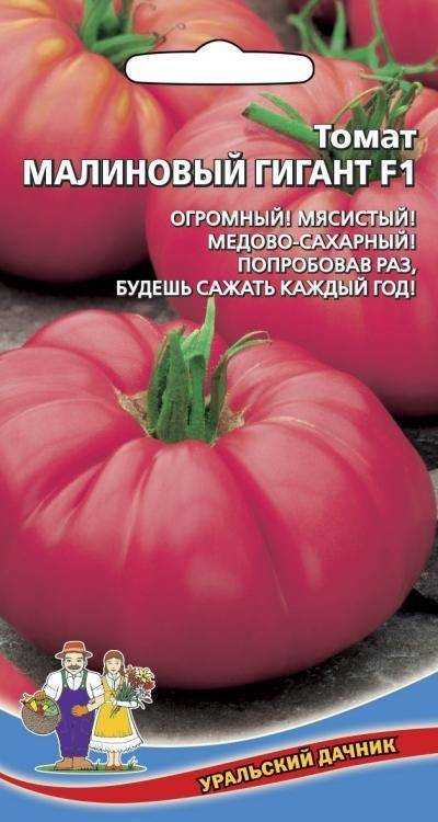 Томат малиновый гигант: отзывы, фото, урожайность, характеристика и отзывы