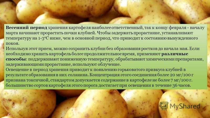 Срок хранения картошки. Хранение картофеля. Картофелеводство условия. Хранение очищенного картофеля. Особенности хранения картофеля.