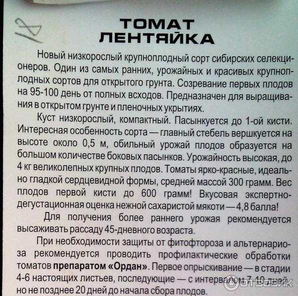 Томат лентяйка: описание сорта, отзывы, фото