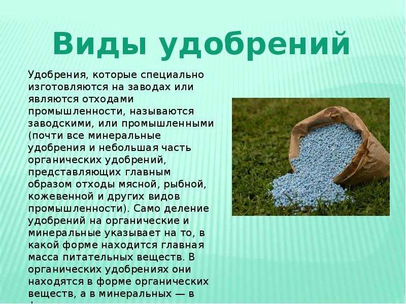 Влияние и значение элементов на жизнедеятельность растений | огородники