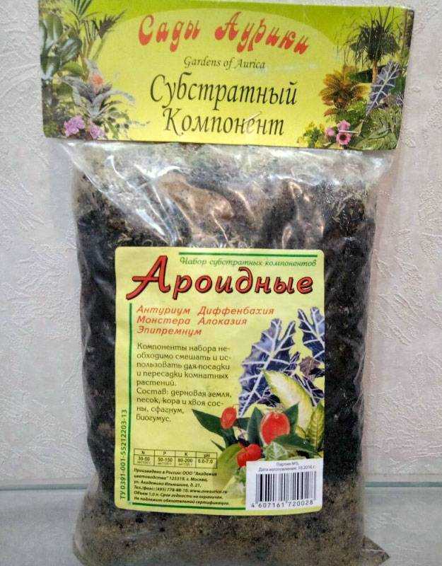 Азалия: уход в домашних условиях, посадка и размножение, фото